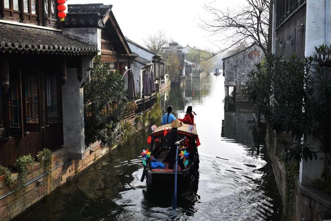 小长颈鹿逃离